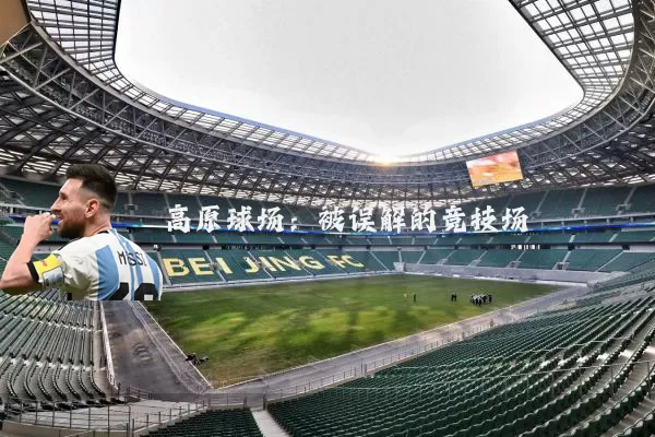 高原球场：被误解的竞技场
