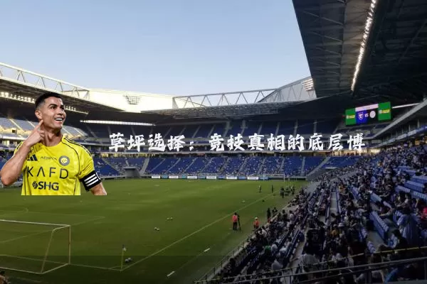 草坪选择:竞技真相的底层博弈